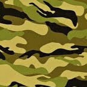 Meet your Posher, Damian